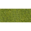 Hierba alta, verde bosque. HEKI 1576
