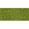 Wild grass. HEKI 1576