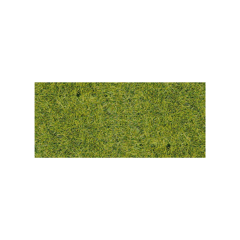 Hierba alta, verde bosque. HEKI 1576