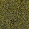 Meadow grass, lime green. HEKI 1590