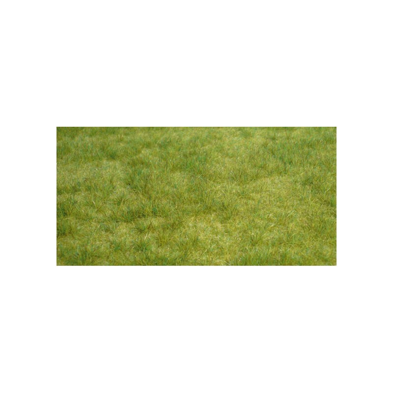 Alfombra, hierba salvaje. HEKI 1841