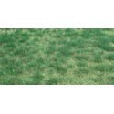 Wildgrass. HEKI 1843 Wildgrass. HEKI 1843