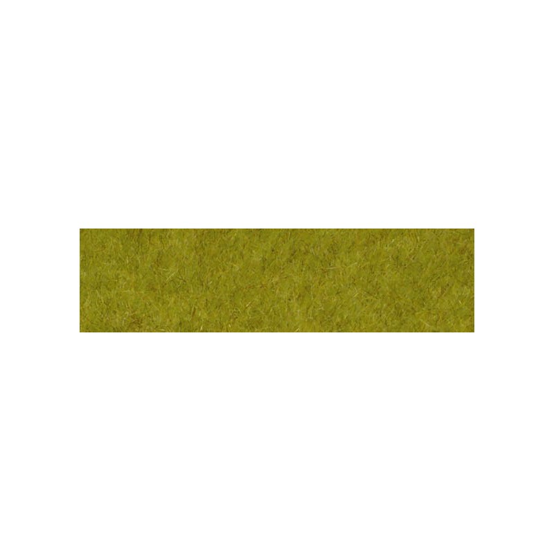 Wild grass. HEKI 1860