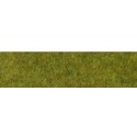 Alfombra, hierba salvaje. HEKI 1861