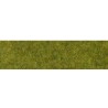 Wild grass. HEKI 1861