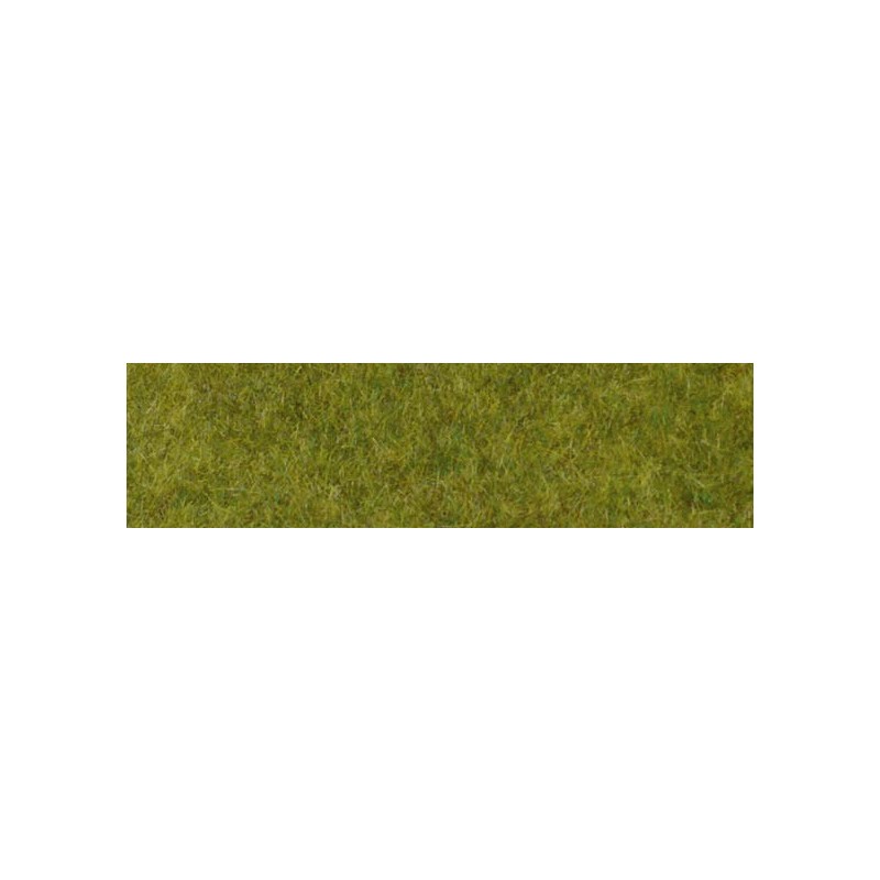 Wild grass. HEKI 1861