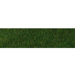Wild grass.