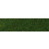 Alfombra, hierba salvaje. HEKI 1862