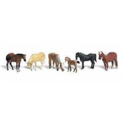 Caballos.