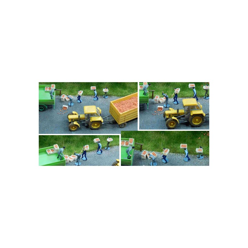 Manzanas rojas. JUWEELA 28122