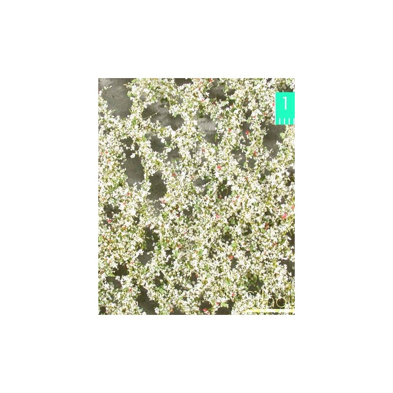 Apple blossoms. SILHOUETTE 926-21S