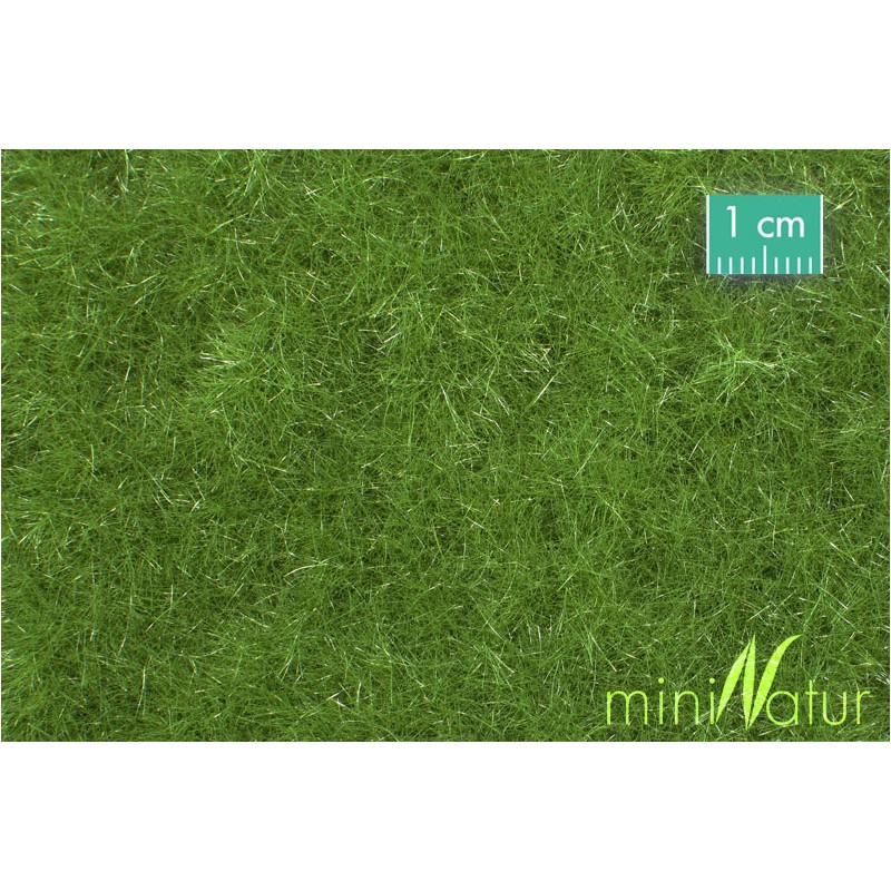 Prado, verano. SILHOUETTE 720-22S