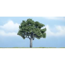 Walnut.
