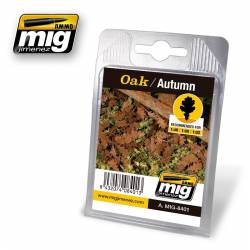 Oak, autumn.