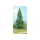 Pine tree. HEKI 2330