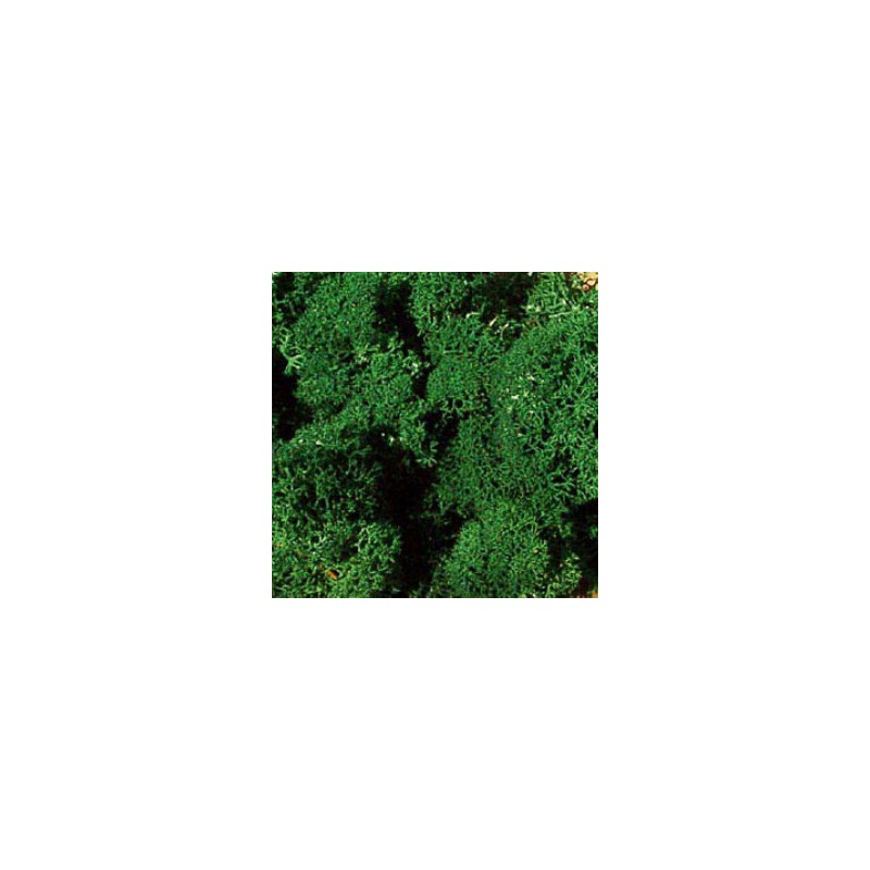 Musgo de islandia, verde oscuro. HEKI 3211