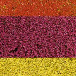 Flores, variadas.