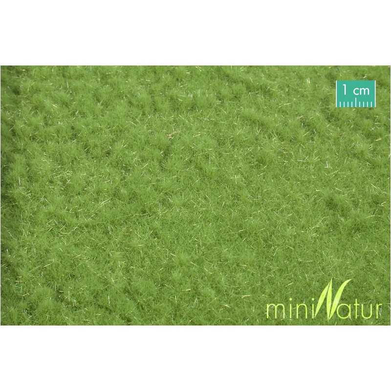 Sheep pasture, spring. SILHOUETTE 715-21H