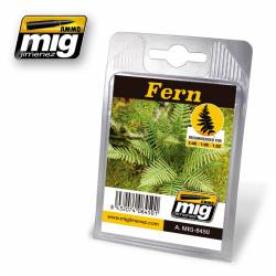 Plants: Ferns.