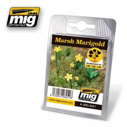 Plants: Marsh Marigold.