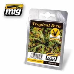 Plantas: Helechos tropicales.