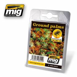 Plants: Ground palms.