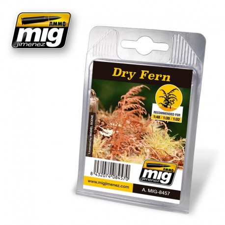 Plants: Dry fern. AMIG 8457