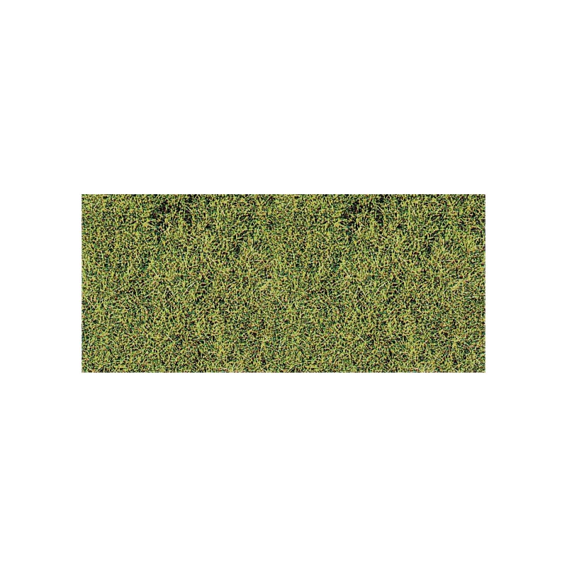 Hierba alta, verde sabana. HEKI 1574