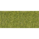 Hierba alta, verde. HEKI 1575