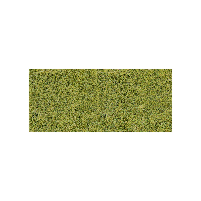 Hierba alta, verde. HEKI 1575