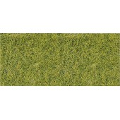 Hierba alta, verde. HEKI 1575