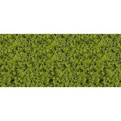 Floccato, verde scuro.