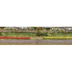 Touffes d’herbe, vertes et rouges.