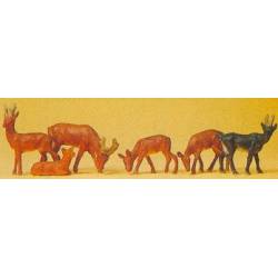 Rheindeer.
