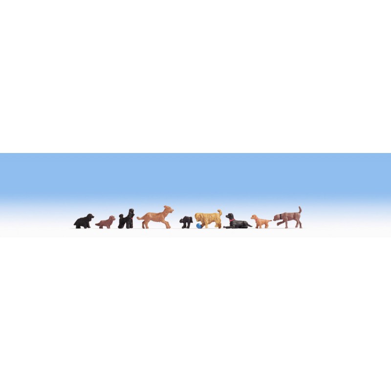 Dogs. NOCH 15719 Dogs. NOCH 15719