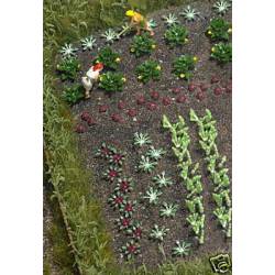Plantas de huerta: hortalizas y lechugas. BUSCH 1222