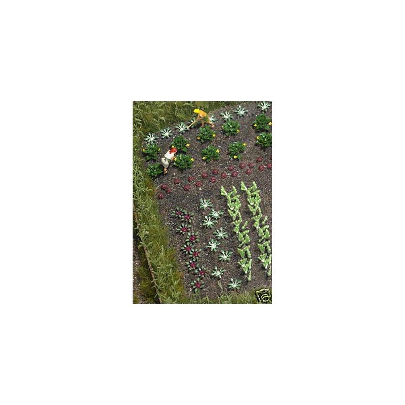 Vegetables and lettuces. BUSCH 1222