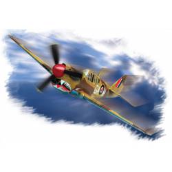 P-40M "Warhawk".