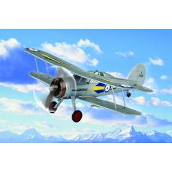 RAF Gladiator.