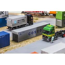 40' Container "COSCO".