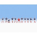 French football team. NOCH 15973