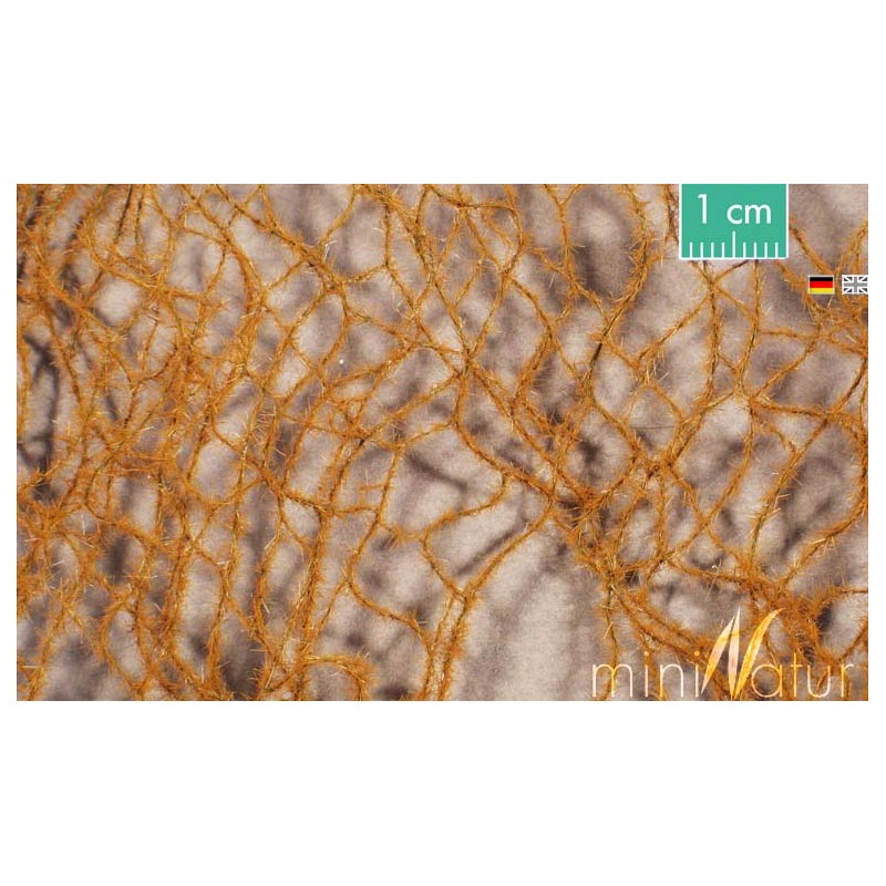 Cola de caballo, finales otoño. SILHOUETTE 990-24S