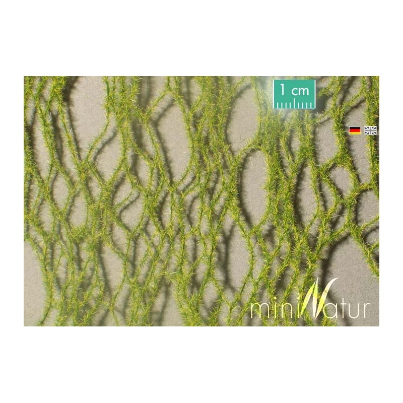 Horse tail, early fall. SILHOUETTE 990-23S