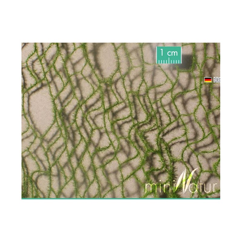 Cola de caballo, verano. SILHOUETTE 990-22S