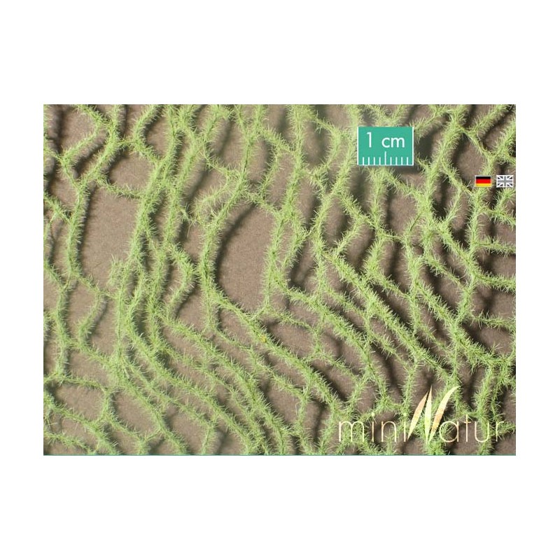 Cola de caballo, primavera. SILHOUETTE 990-21S