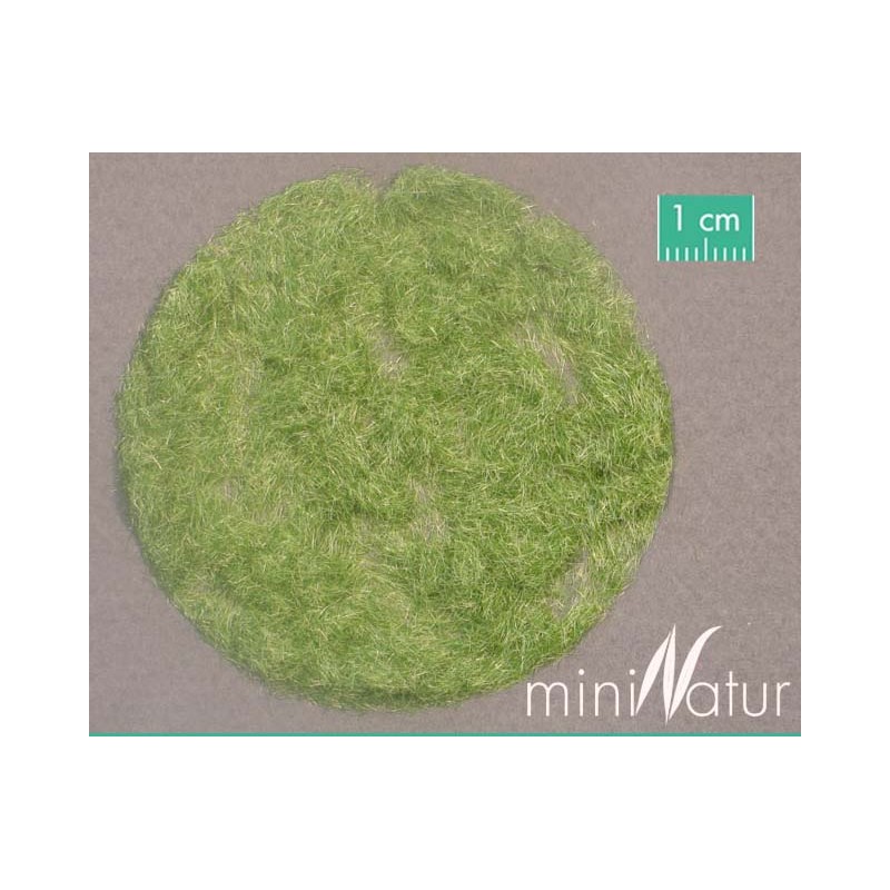 Césped electrostático, principios otoño. SILHOUETTE 002-23