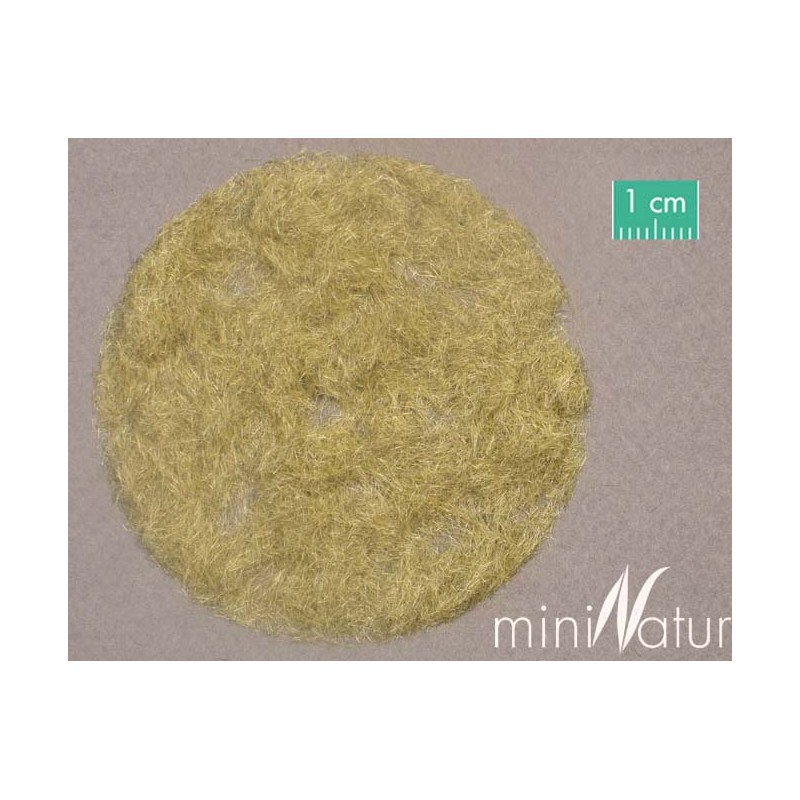 Césped electrostático, finales otoño. SILHOUETTE 002-24