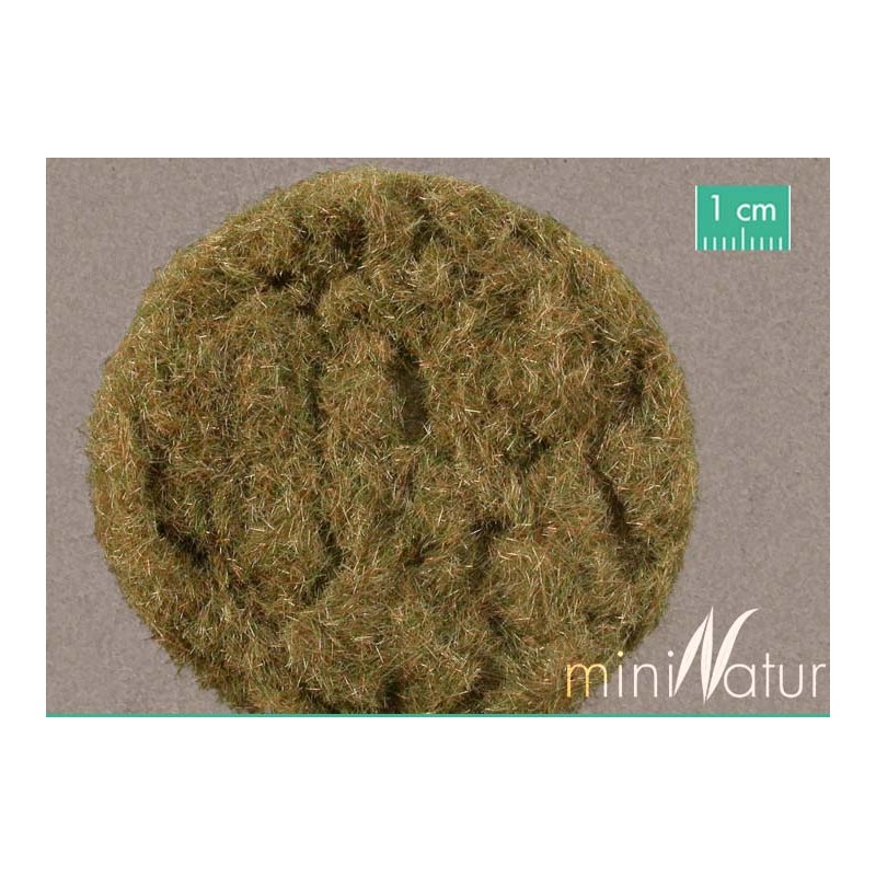 Short hay. SILHOUTTE 002-29