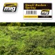 Small bushes, spring. AMIG 8360