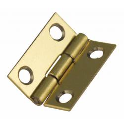 Cerniere 20 x 13 mm (x5).